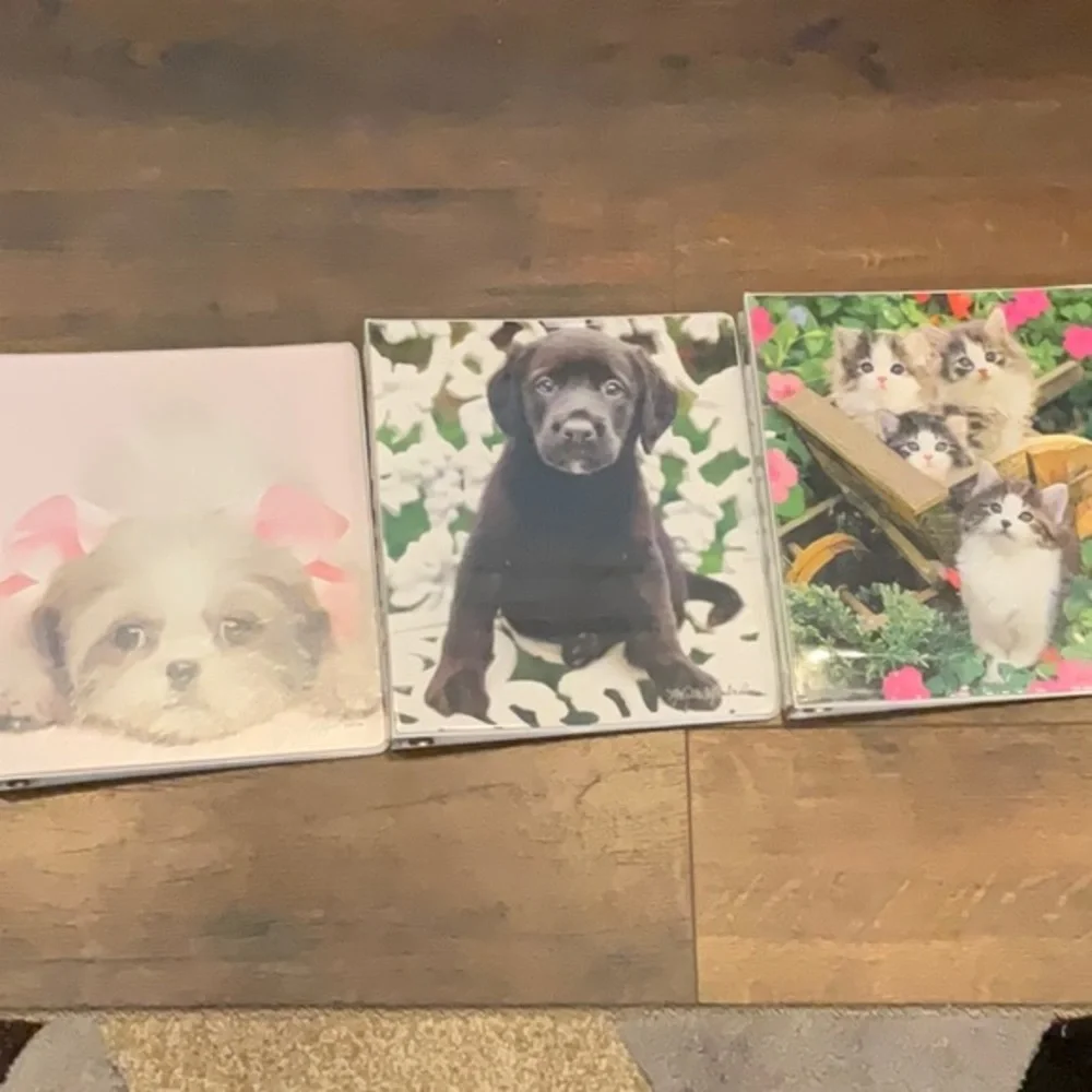 Class act Keith Kimberlin bundle 3 vintage binders puppy’s and kittens
